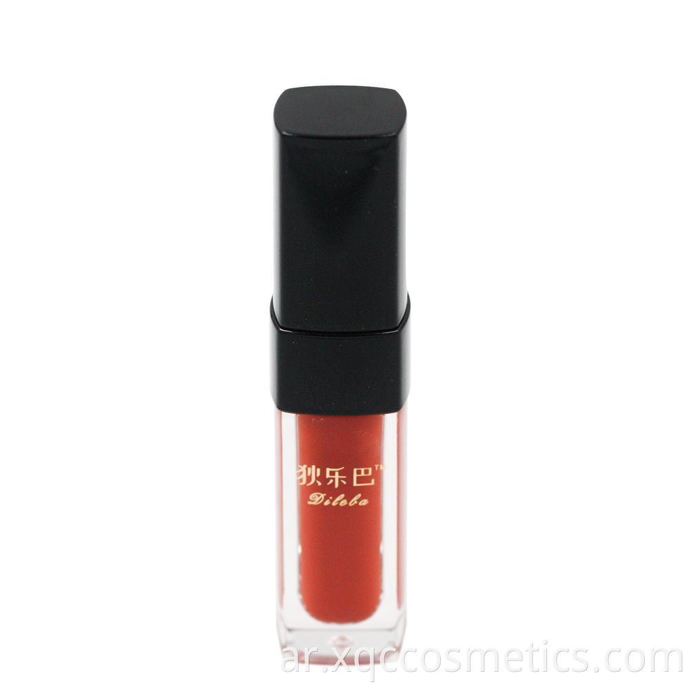 Lip Glaze1000 6